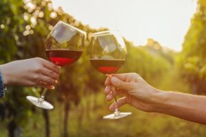 VINO & CIBO: un connubio perfetto per un’esperienza sensoriale unica